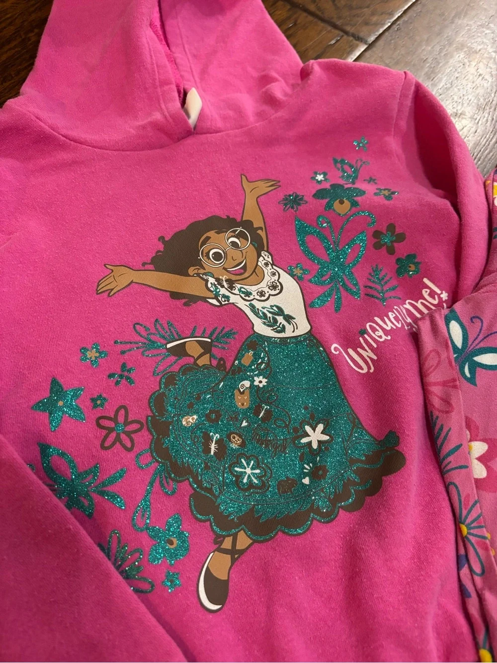 Disney Encanto Fuchsia Pink Hoodie with Glitter Character Print